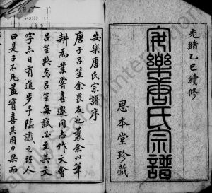 1905年修安乐唐氏宗谱[20卷]江苏江阴思本堂唐姓电子版族谱下载