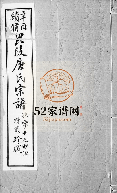 1921年修毘陵唐氏宗谱[9卷首末各1卷]江苏武进唐姓电子版族谱下载