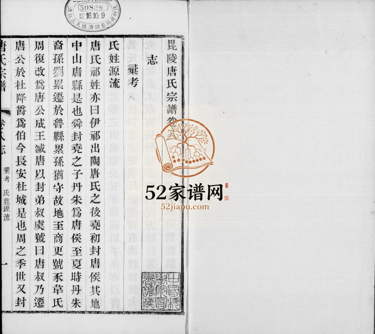 1921年修毘陵唐氏宗谱[9卷首末各1卷]江苏武进唐姓电子版族谱下载