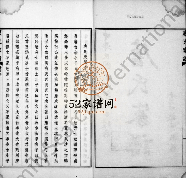 1948年修毘陵唐氏家谱[东分不分卷西分9卷首末各1卷]江苏武进 溧阳唐姓电子版族谱下载