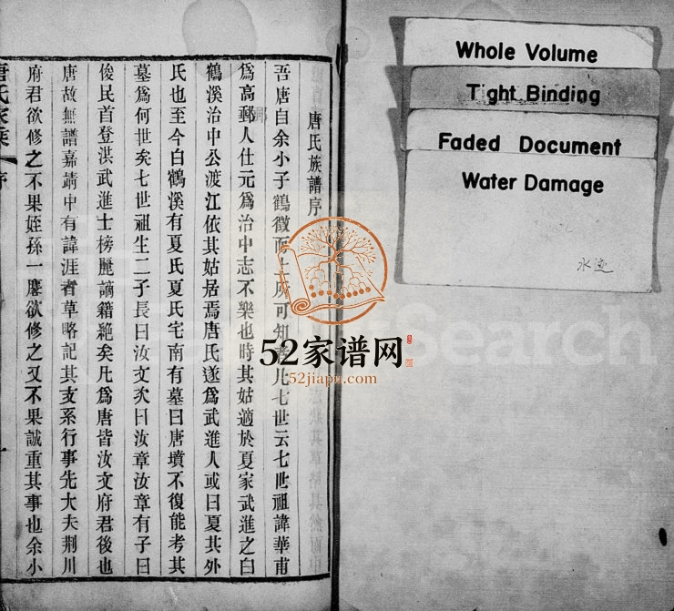 1907年修毘陵迁锡唐氏家乘[11卷]江苏无锡 武进唐姓电子版族谱下载