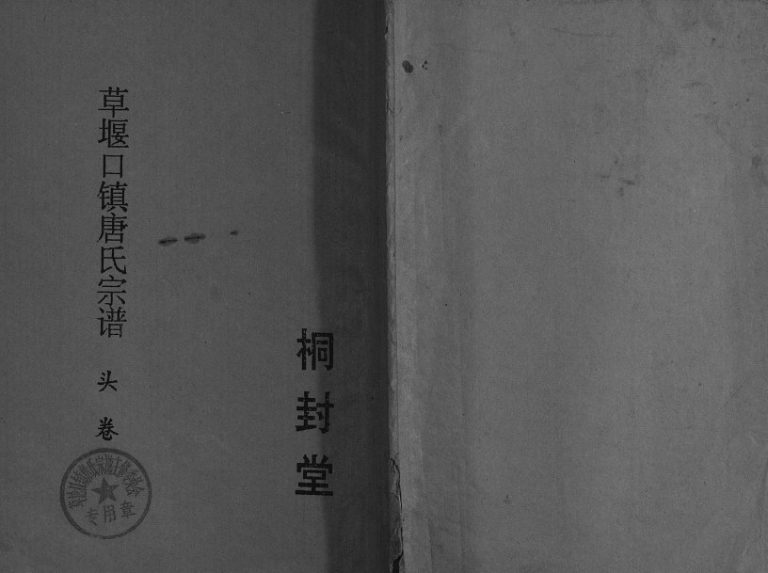 1994年修草堰口镇唐氏宗谱[7卷头1卷]江苏建湖 大丰桐封堂唐姓电子版族谱下载