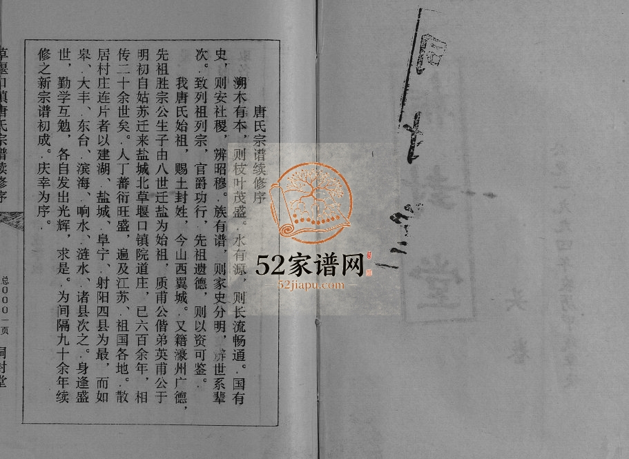 1994年修草堰口镇唐氏宗谱[7卷头1卷]江苏建湖 大丰桐封堂唐姓电子版族谱下载