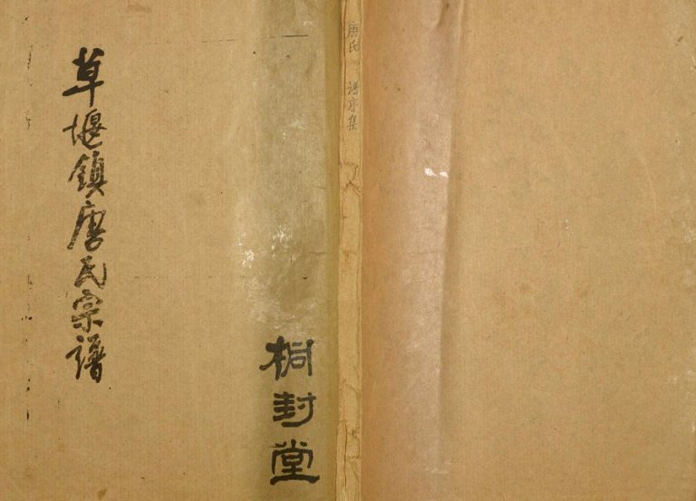 1991年修草堰镇唐氏宗谱 江苏盐城大丰桐封堂唐姓电子版族谱下载