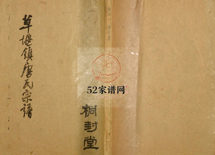 1991年修草堰镇唐氏宗谱 江苏盐城大丰桐封堂唐姓电子版族谱下载