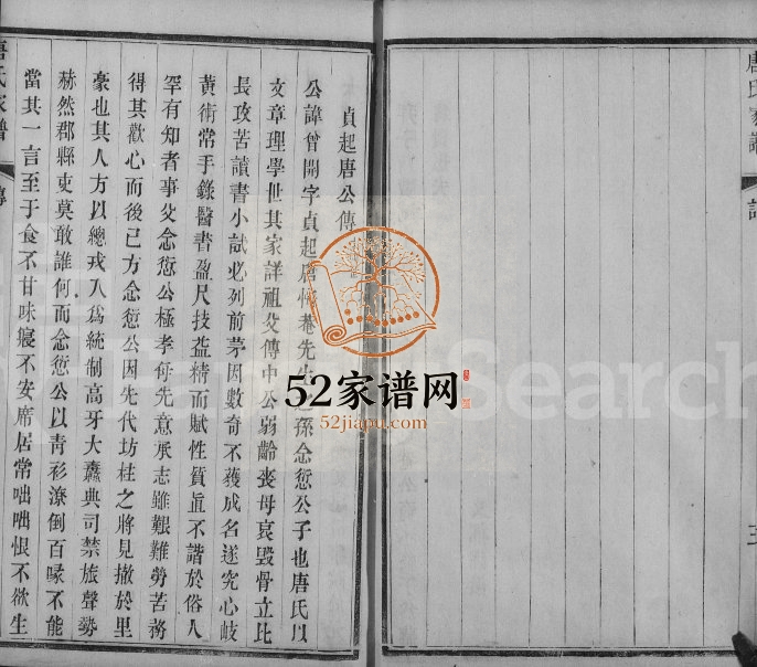 清光绪唐氏宗谱 江苏武进唐姓电子版族谱下载