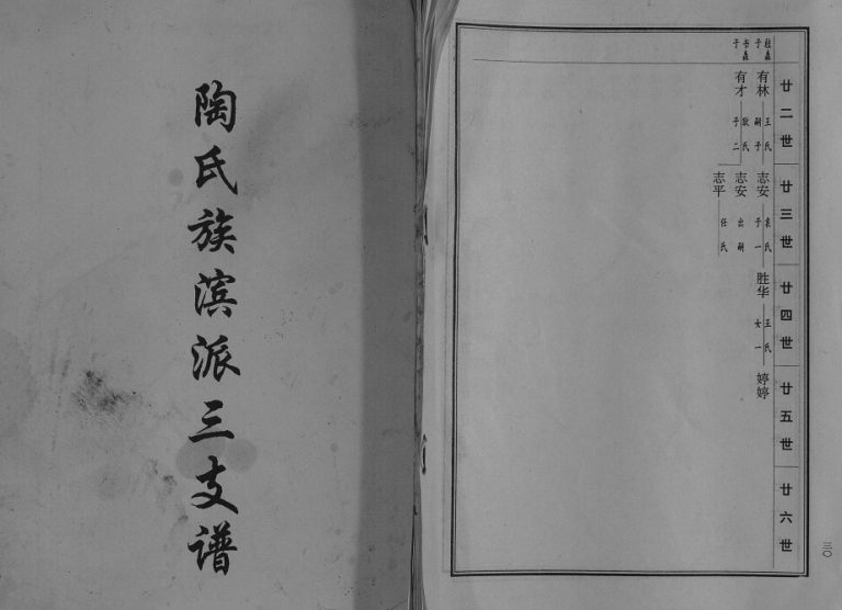 1999年修陶氏族滨派三支谱[不分卷]江苏建湖陶姓电子版族谱下载