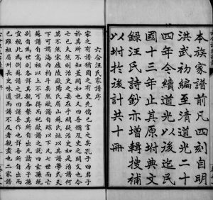 1924年修六合汪氏家谱[10卷]江苏汪姓电子版族谱下载