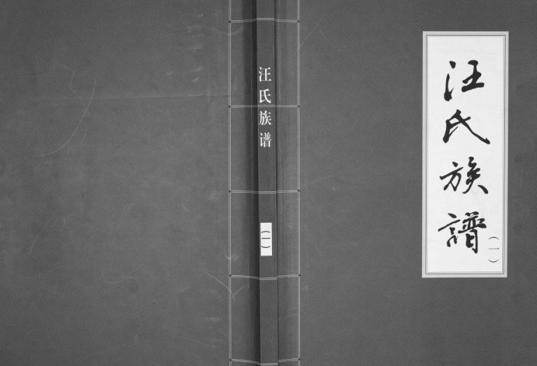 2014年修汪氏族谱[3册]江苏丰县 安徽砀山握纹堂汪姓电子版家谱下载