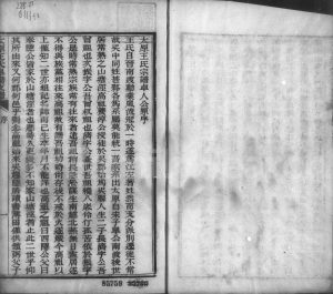 1898年修太原王氏皋桥支谱 江苏吴中 山西阳曲王姓电子版族谱下载