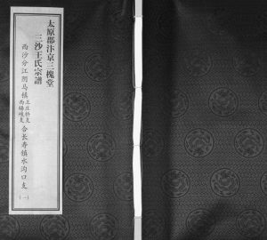 2015年太原郡汴京三槐堂三沙王氏宗谱[2卷]江苏无锡 江阴王姓电子版族谱下载