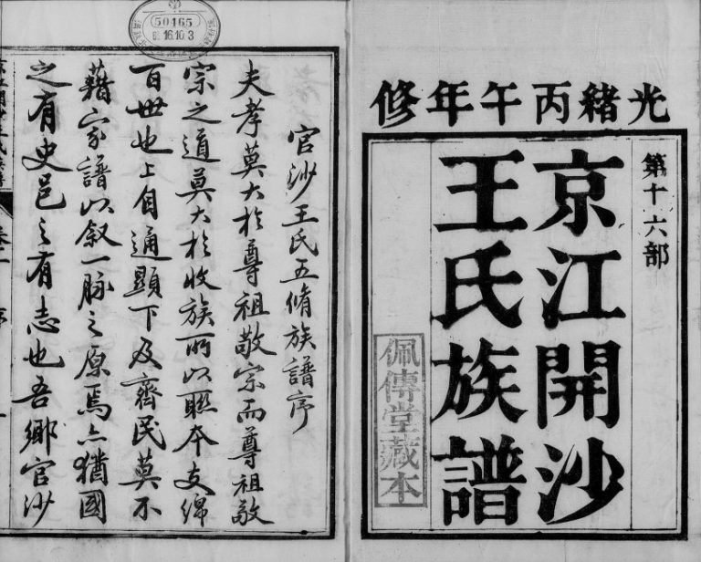1906年修京江开沙王氏族谱[10卷]江苏镇江佩傅堂王姓电子版家谱下载