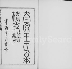 1921年修太原王氏皋桥支谱 江苏吴中王姓电子版族谱下载