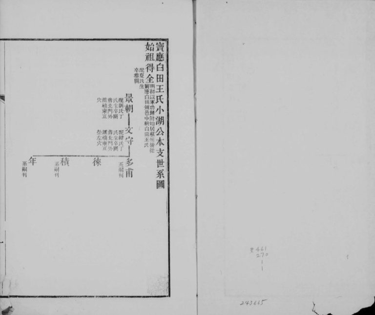 1869年修宝应白田王氏小湖公本支世系图 江苏王姓电子版族谱下载