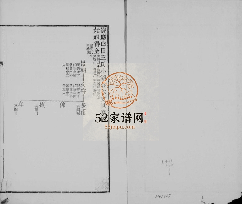 1869年修宝应白田王氏小湖公本支世系图 江苏王姓电子版族谱下载
