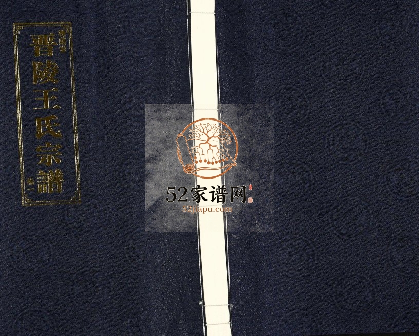 2016年十修晋陵王氏宗谱[20卷]江苏常州槐荫堂王姓电子版族谱下载