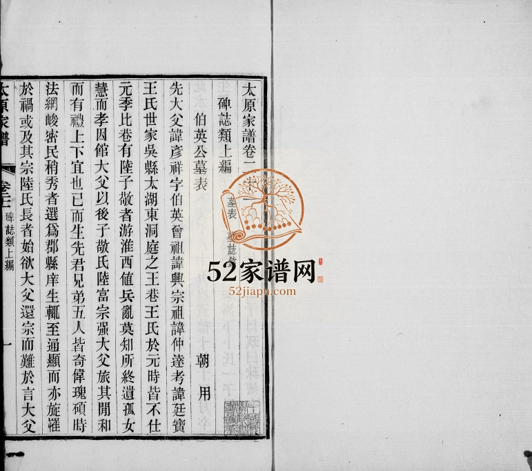 1911年修洞庭太原王氏家谱[28卷首末各1卷]江苏吴中王姓电子版族谱下载