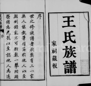 1863年修海安王氏族谱[8卷]江苏如皋王姓电子版家谱下载