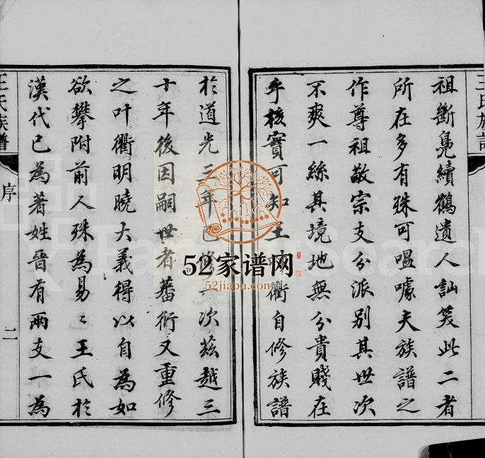 1863年修海安王氏族谱[8卷]江苏如皋王姓电子版家谱下载