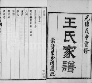 1908年修润东顺江洲王氏族谱[15卷]江苏镇江王姓电子版家谱下载