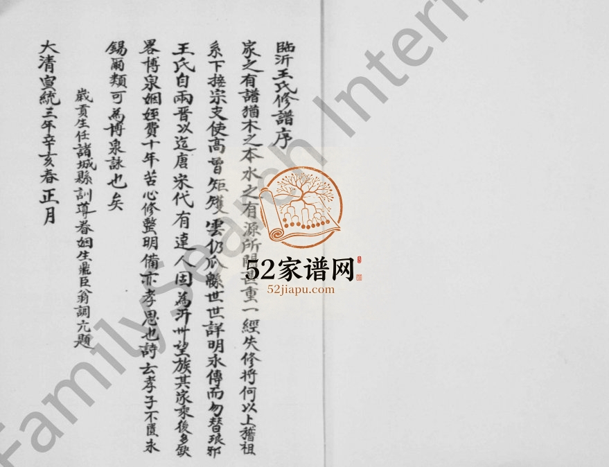 1995年修王氏宗谱 江苏丰县王姓电子版族谱下载