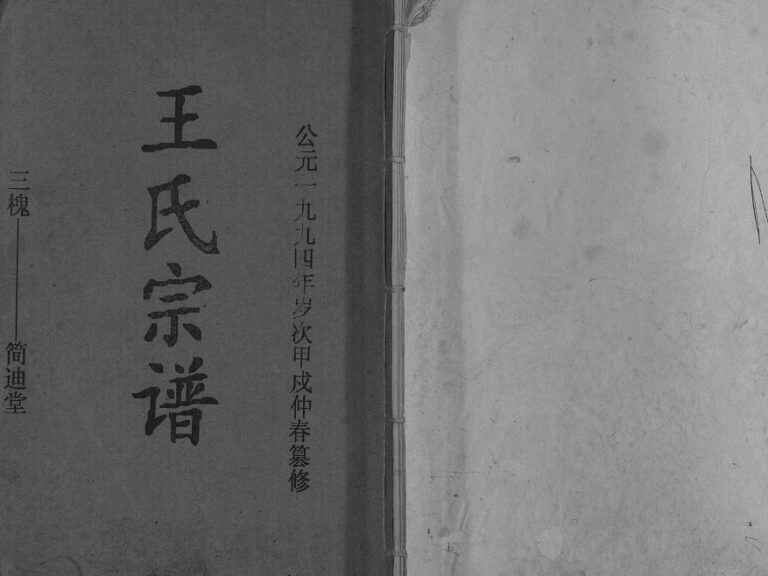 1994年修王氏宗谱 江苏沛县简迪堂王姓电子版族谱下载