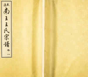 2008年修武进南王王氏宗谱 江苏三槐堂王姓电子版族谱下载