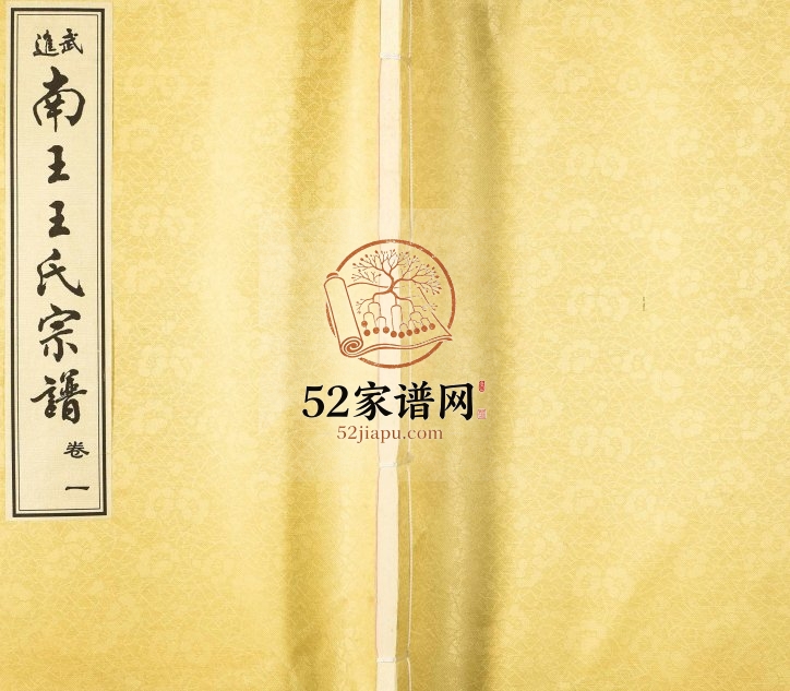 2008年修武进南王王氏宗谱 江苏三槐堂王姓电子版族谱下载