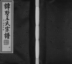 2017年八修谭墅王氏宗谱[18卷]江苏常州赐姓堂王姓电子版族谱下载