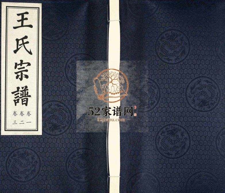 2015年修圩塘王氏宗谱[6卷]江苏武进三槐堂王姓电子版族谱下载
