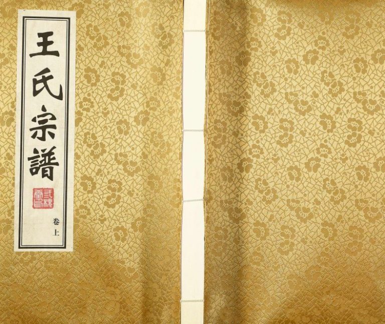 2018年续修毘陵王氏宗谱 江苏武进三槐堂王姓电子版族谱下载