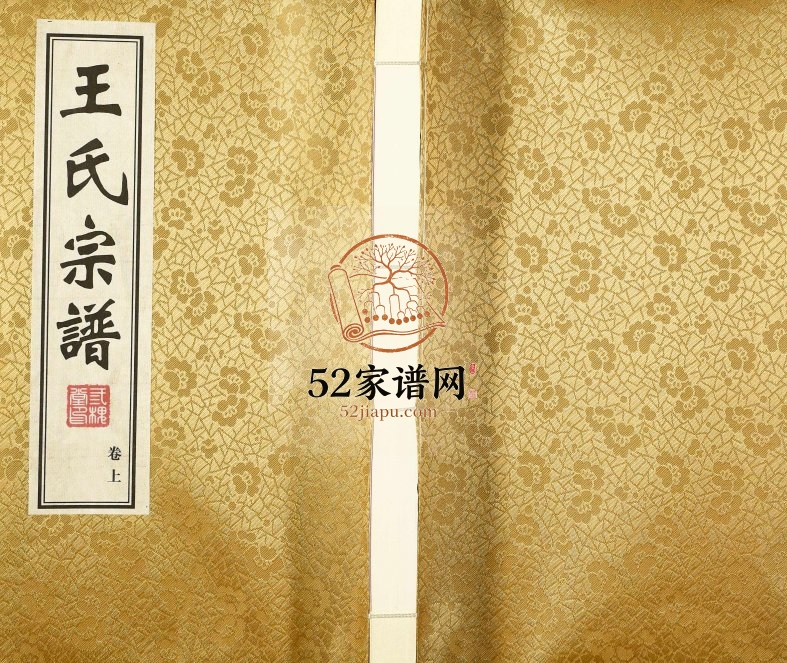 2018年续修毘陵王氏宗谱 江苏武进三槐堂王姓电子版族谱下载