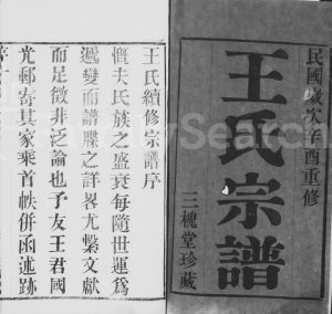 1921年毘陵王氏续修宗谱[10卷]江苏武进三槐堂王姓电子版族谱下载