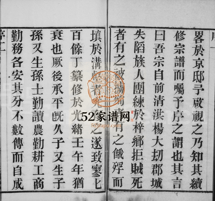 1921年毘陵王氏续修宗谱[10卷]江苏武进三槐堂王姓电子版族谱下载