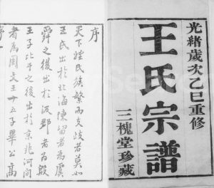 1905年修羌抠王氏宗谱[10卷]江苏吴中三槐堂王姓电子版族谱下载