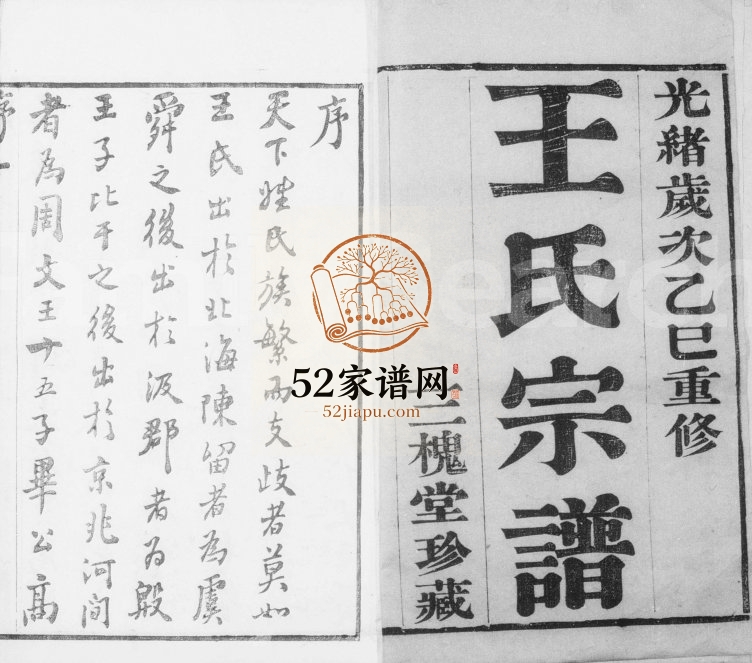 1905年修羌抠王氏宗谱[10卷]江苏吴中三槐堂王姓电子版族谱下载