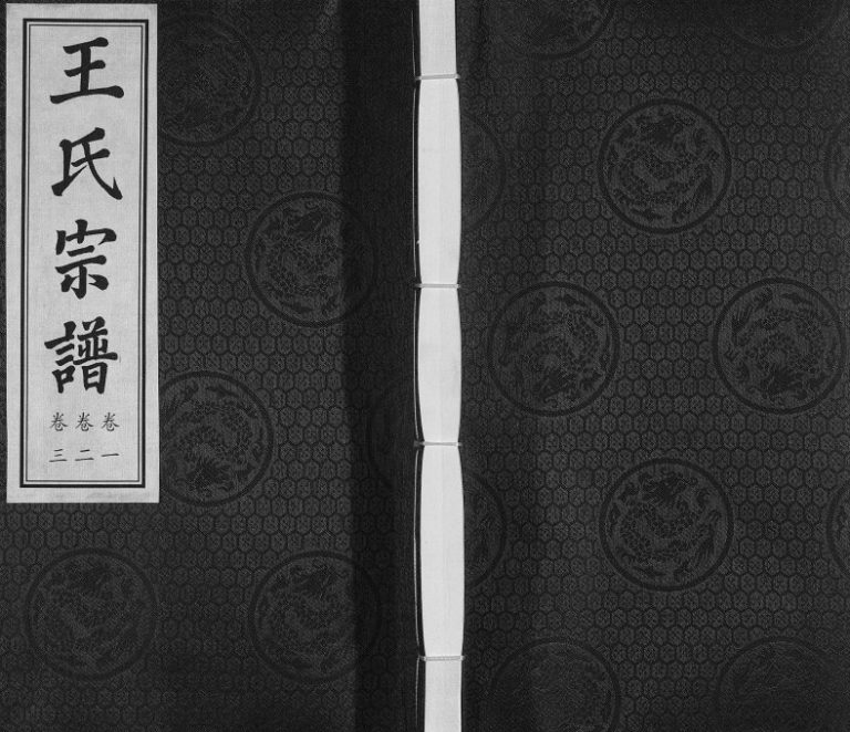 2015年修武进圩塘王氏宗谱[6卷]江苏常州三槐堂王姓电子版族谱下载