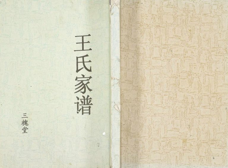 2013年修淮安府阜宁王氏家谱 江苏三槐堂王姓电子版族谱下载
