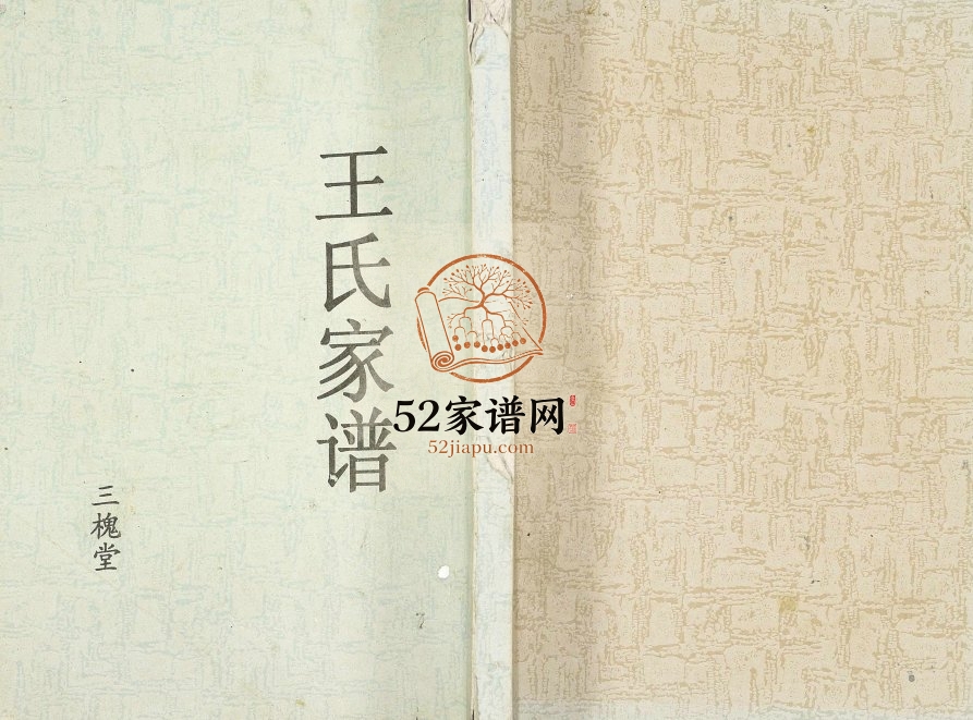 2013年修淮安府阜宁王氏家谱 江苏三槐堂王姓电子版族谱下载