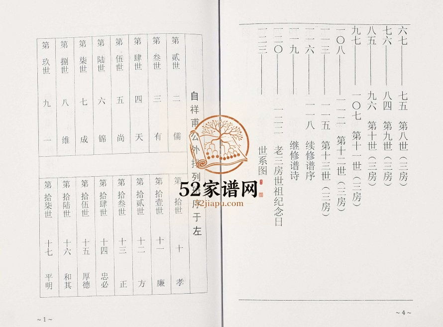 2013年修淮安府阜宁王氏家谱 江苏三槐堂王姓电子版族谱下载