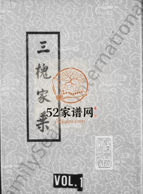 1993年修王氏族谱 江苏丰县王姓电子版家谱下载