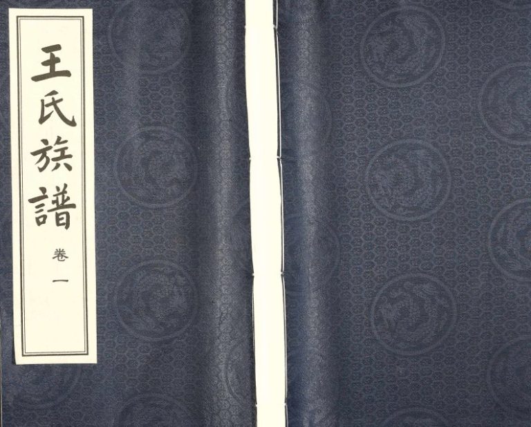 2008年十二修老牛王家庄三槐堂王氏族谱[8卷]江苏江都王姓电子版家谱下载