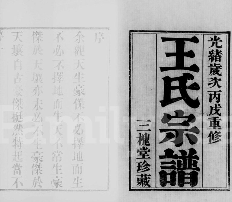 1886年修瓦屑坝王氏宗谱[8卷]江苏武进三槐堂王姓电子版族谱下载