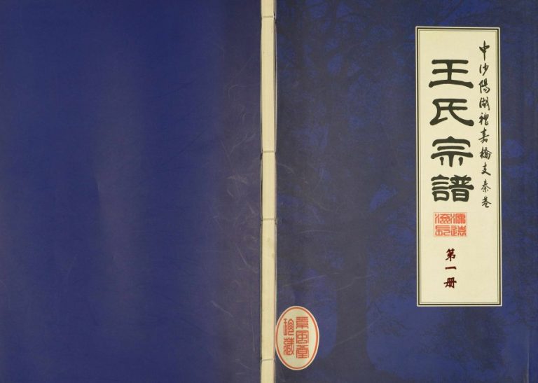 2006年七修中沙阳湖礼嘉桥支秦巷王氏宗谱[10卷]江苏武进王姓电子版族谱下载
