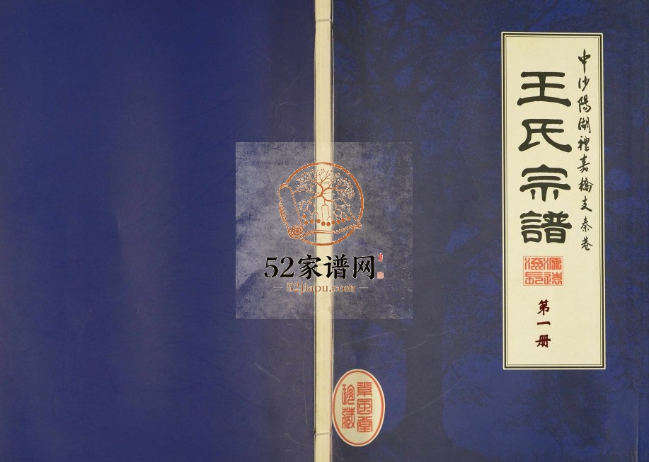 2006年七修中沙阳湖礼嘉桥支秦巷王氏宗谱[10卷]江苏武进王姓电子版族谱下载
