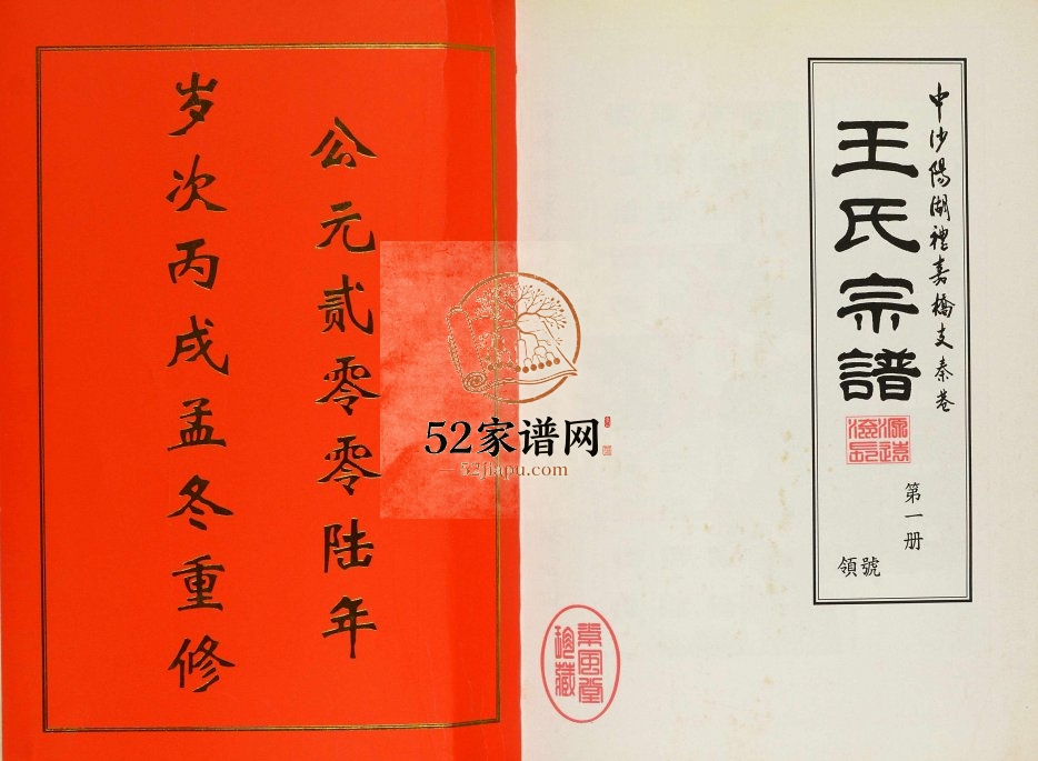 2006年七修中沙阳湖礼嘉桥支秦巷王氏宗谱[10卷]江苏武进王姓电子版族谱下载