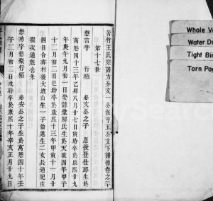 清代苦竹王氏宗谱[残卷]江苏武进王姓电子版族谱下载