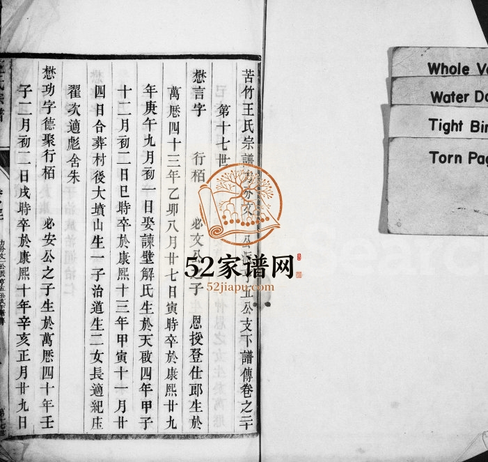 清代苦竹王氏宗谱[残卷]江苏武进王姓电子版族谱下载