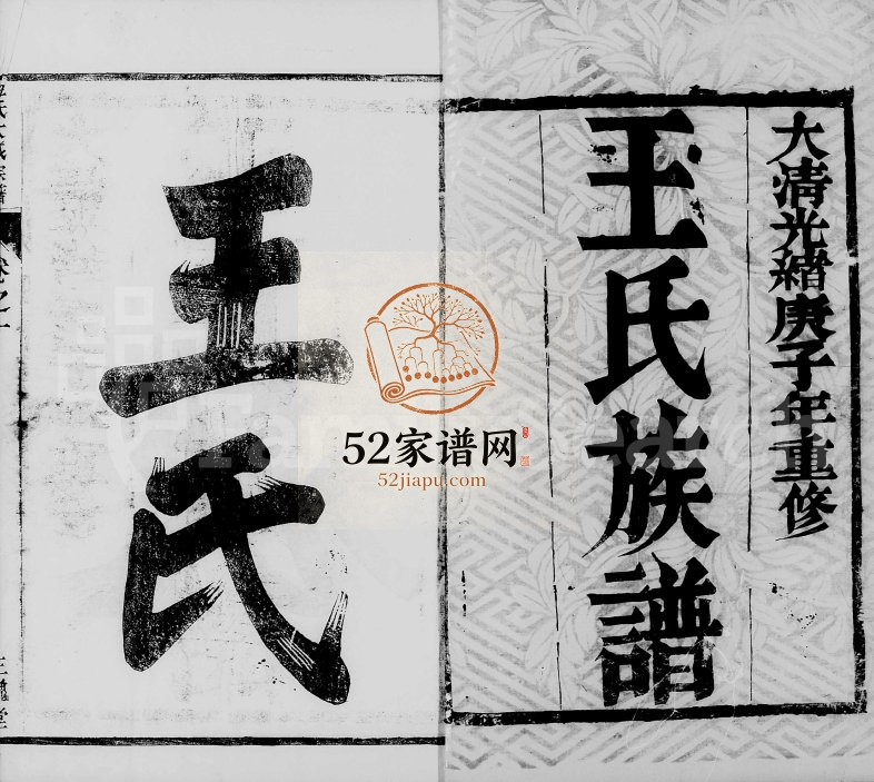 1900年修金沙王氏大成宗谱[4卷]江苏金坛三槐堂王姓电子版族谱下载