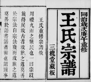1870年修云阳包港王氏族谱[8卷]江苏丹阳三槐堂王姓电子版家谱下载